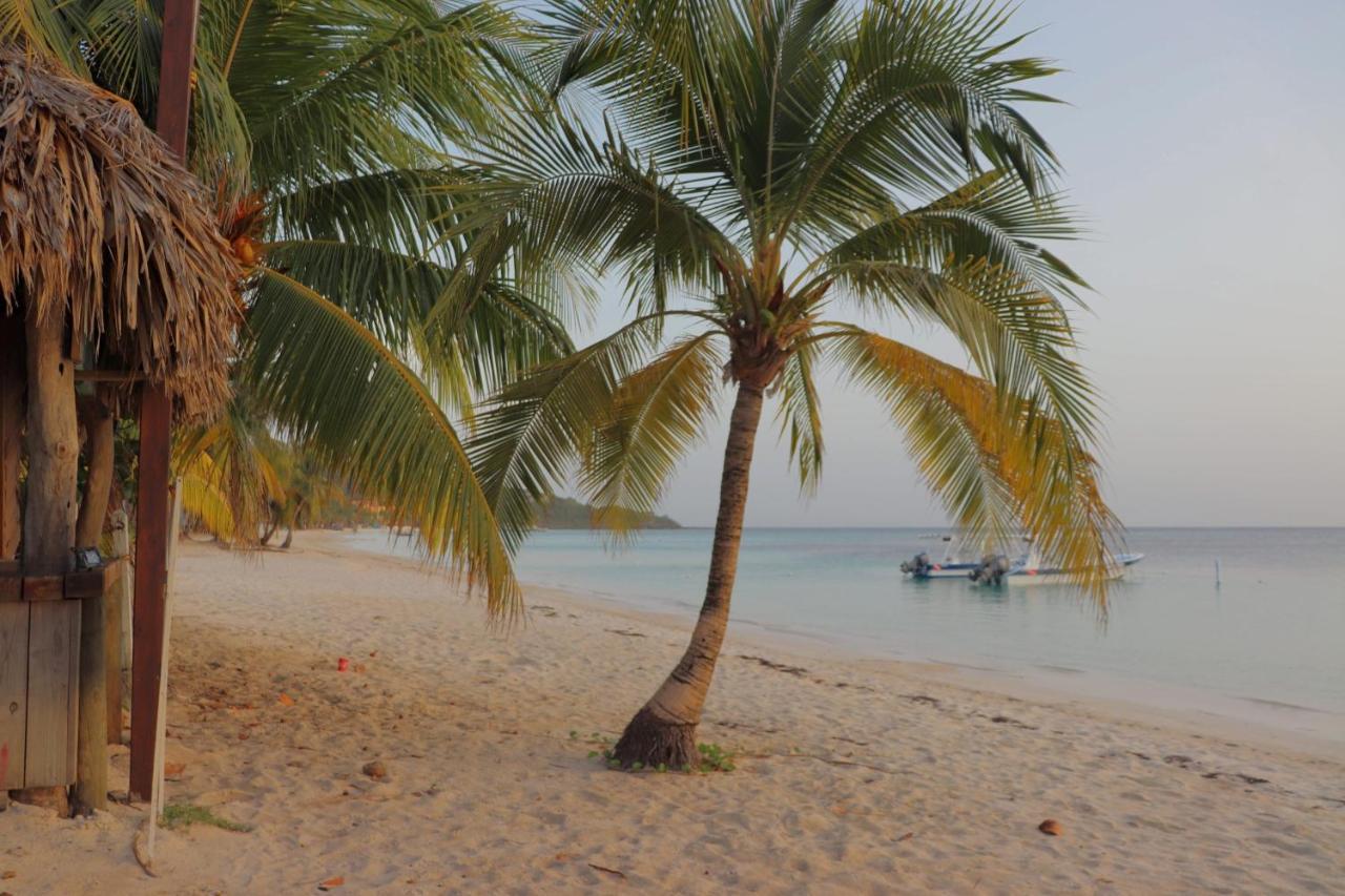 Hotel Posada Seremein ,West Bay ,Roatan エクステリア 写真