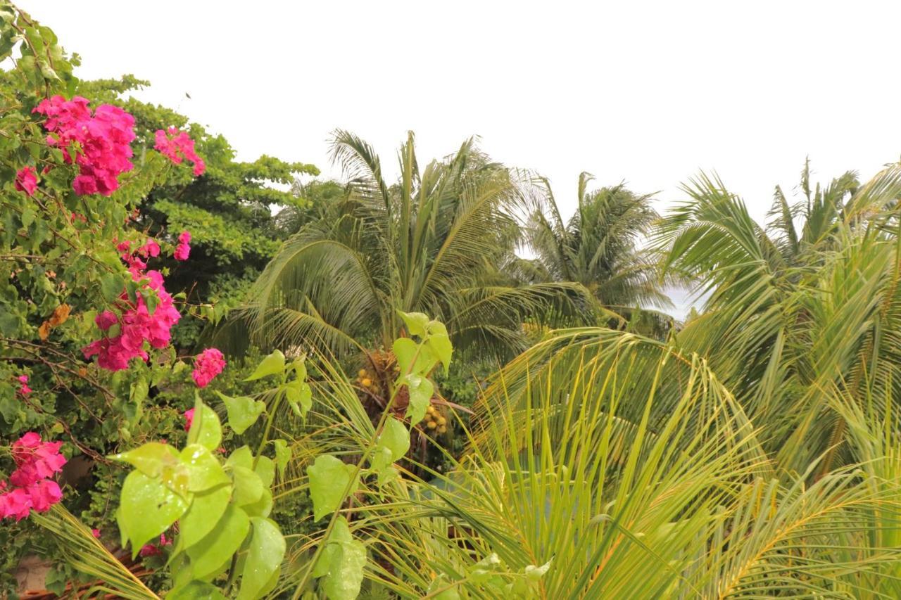 Hotel Posada Seremein ,West Bay ,Roatan エクステリア 写真