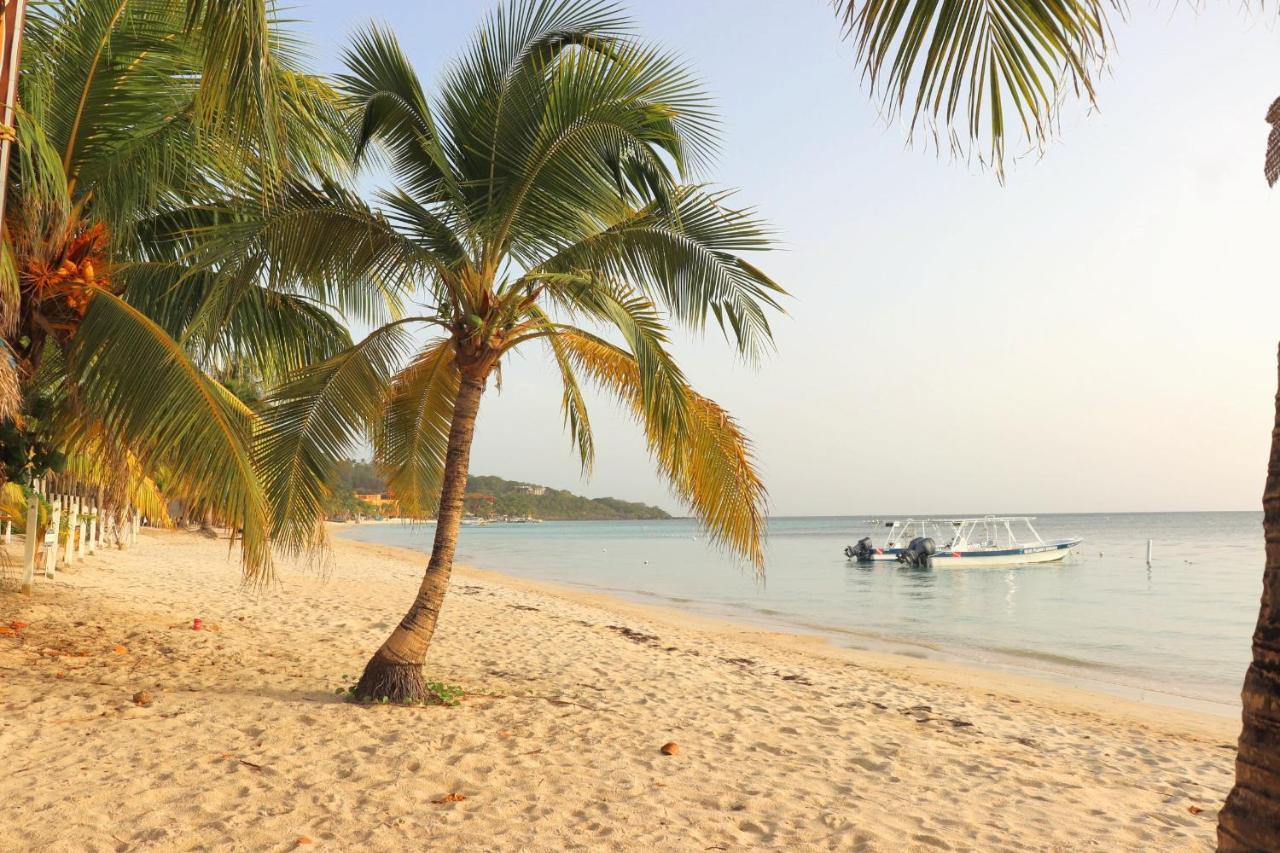 Hotel Posada Seremein ,West Bay ,Roatan エクステリア 写真